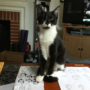 Natasha the cat sits on my drawing.
